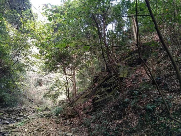 紫色魔法师守城中文版